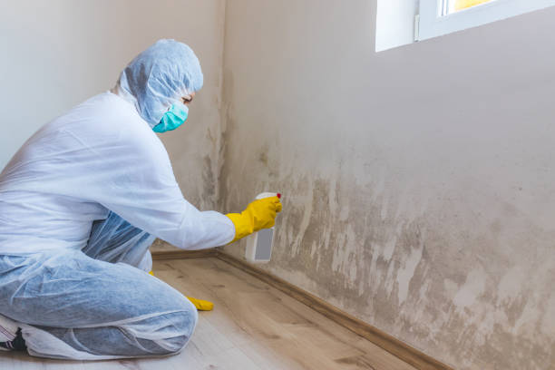 Hvac And Air Duct Mold Remediation inspection of HVAC system in Leonia