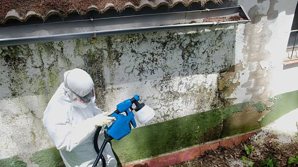 Mold Remediation service in Leonia, Leonia, NJ